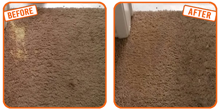 Pet scratched carpet in Fort Lauderdale Carpet Repair before and after 
