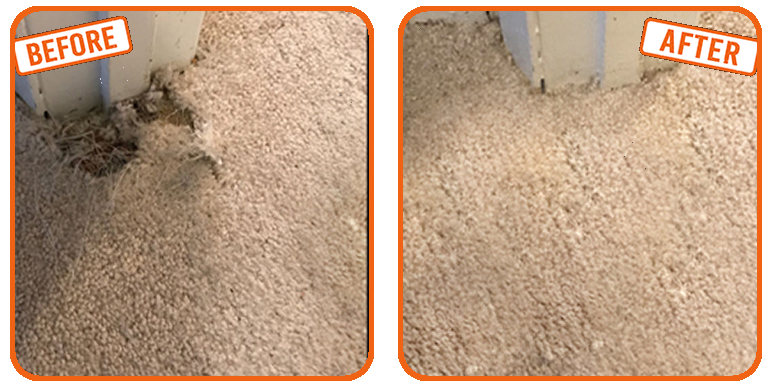 Pet damage in Fort Lauderdale Carpet Repair before and after 