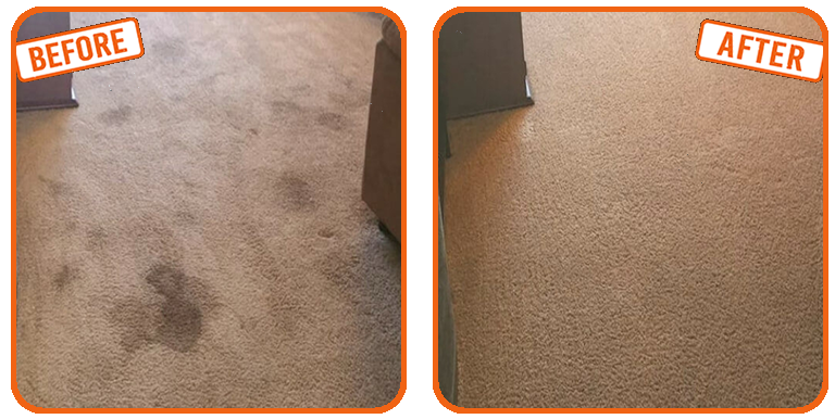 Stain removal in Fort Lauderdale Carpet Repair before and after 