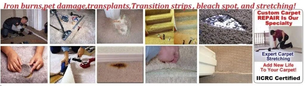How to Fix Carpet Your Dog Ripped Up – Expert Repair in South Florida